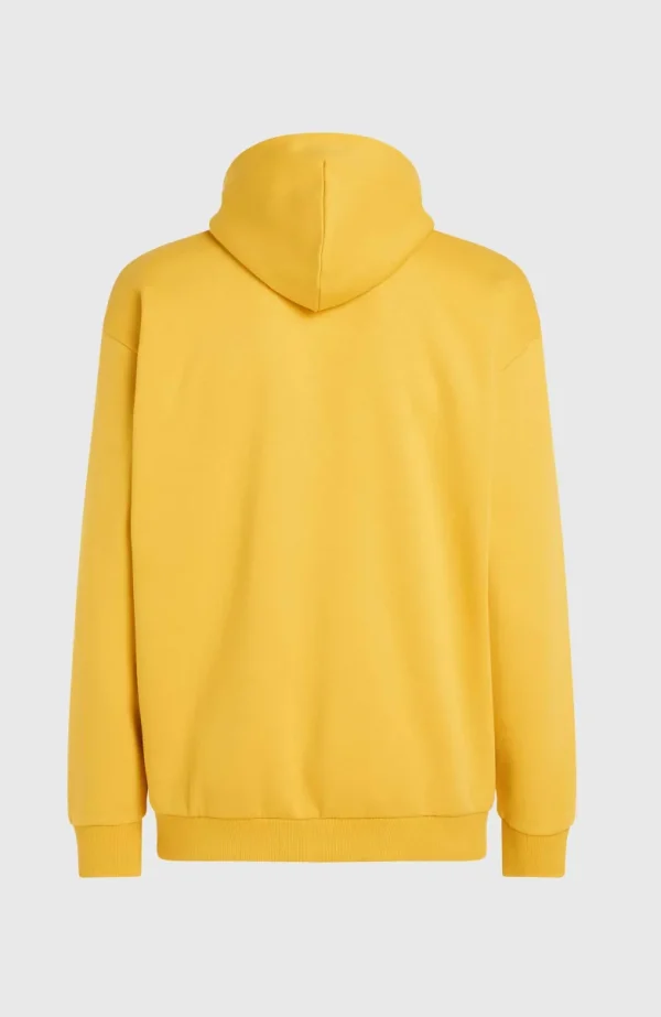 Future Surf Society Hoodie | | O’Neill Outlet