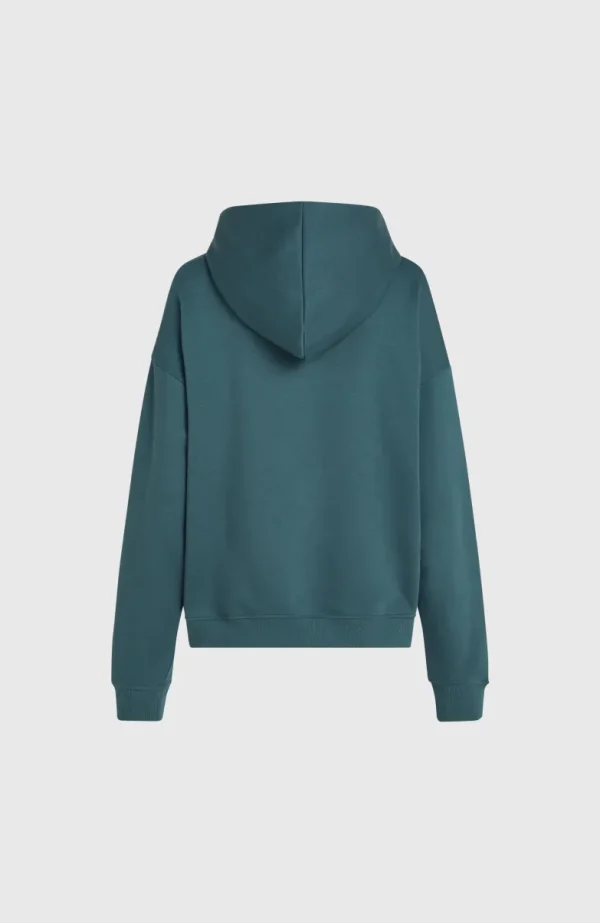 Future Surf Society Hoodie | | O’Neill Flash Sale