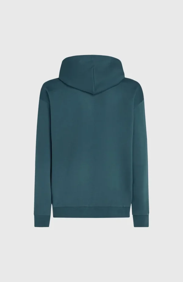 Future Surf Society Hoodie | | O’Neill Flash Sale