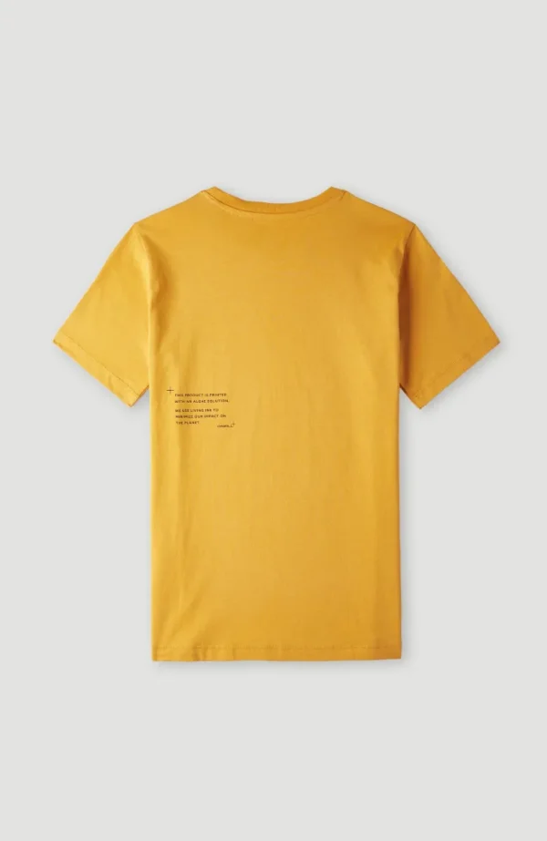 Future Surf T-shirt | | O’Neill Best Sale