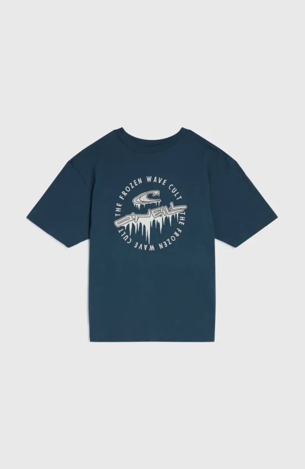 Graphic T-shirt | | O’Neill Flash Sale