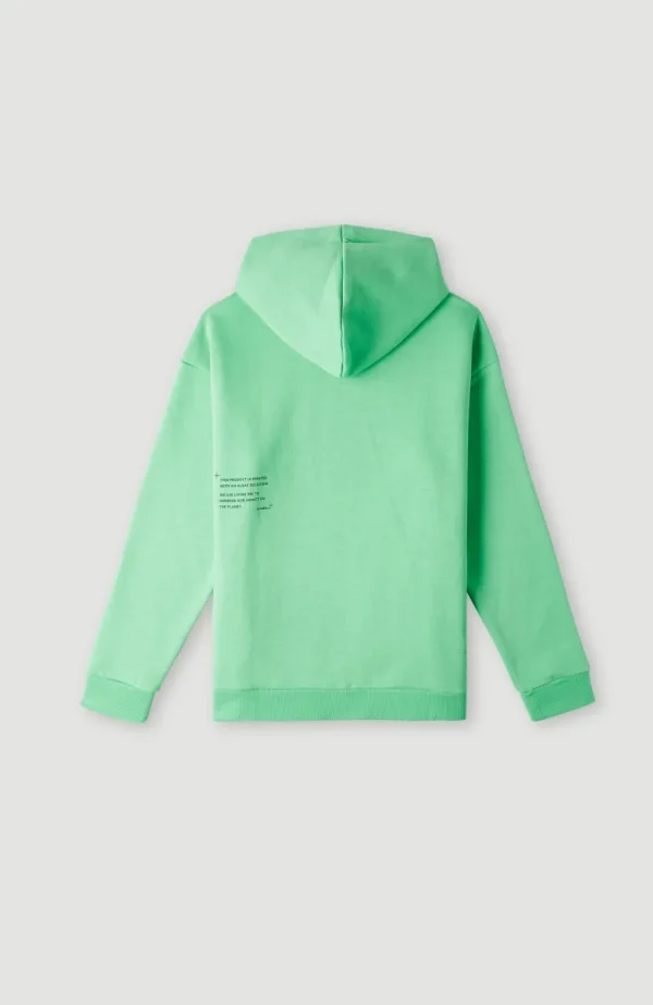 Hoodie Future Surf Society | | O’Neill Cheap