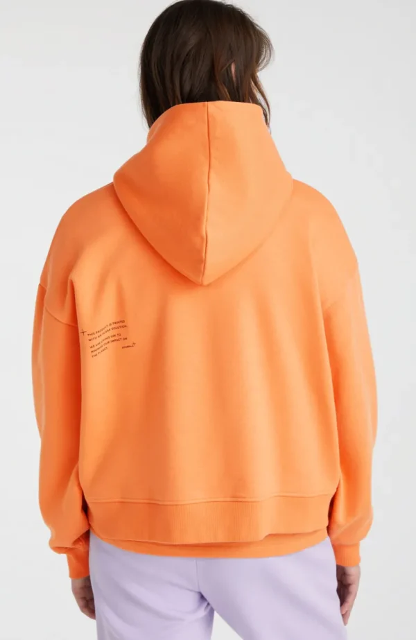 Hoodie Future Surf Society | | O’Neill New