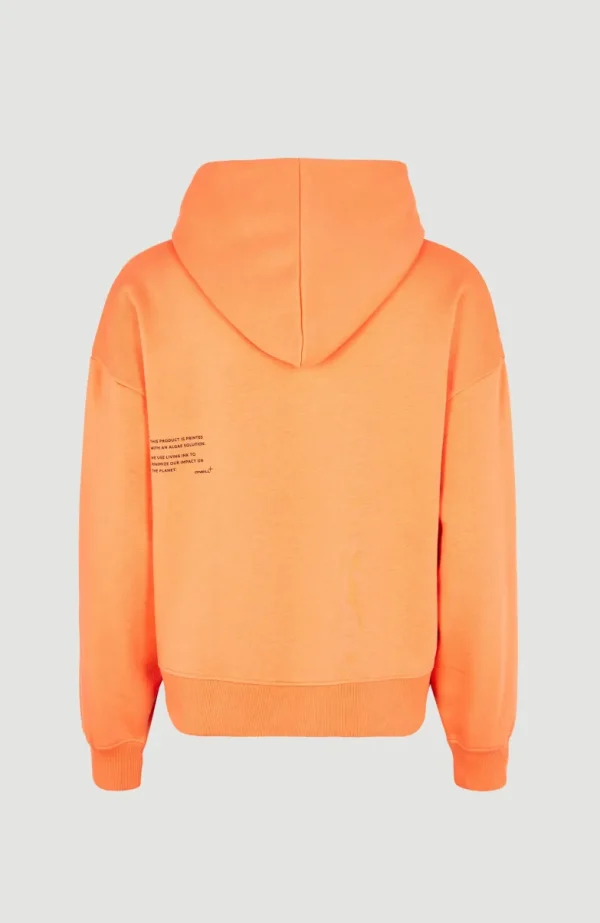 Hoodie Future Surf Society | | O’Neill New