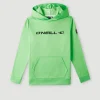 Hoodie Rutile Fleece | | O’Neill Hot