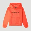 Hoodie Rutile Fleece | | O’Neill Discount