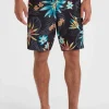 Hyperfreak Mysto Scallop 19" Boardshort | | O’Neill Clearance