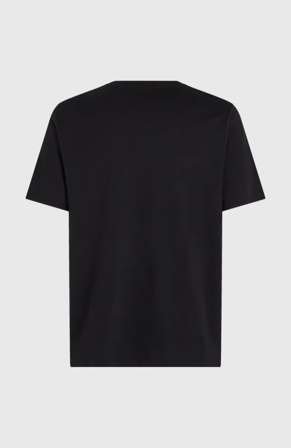 Ikat Stripe T-shirt | | O’Neill Clearance