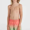Jack O'Neill Cali Gradient 14" Zwembroek | | O’Neill Store