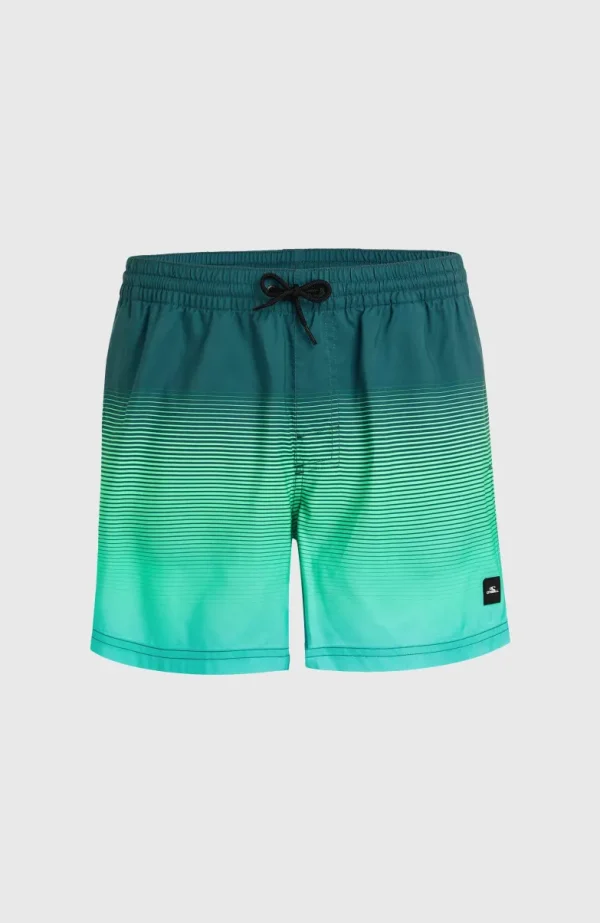 Jack O'Neill Cali Gradient 15" Zwembroek | | O’Neill Outlet