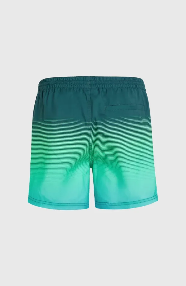 Jack O'Neill Cali Gradient 15" Zwembroek | | O’Neill Outlet