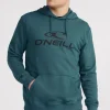 Logo Hoodie | | O’Neill Hot