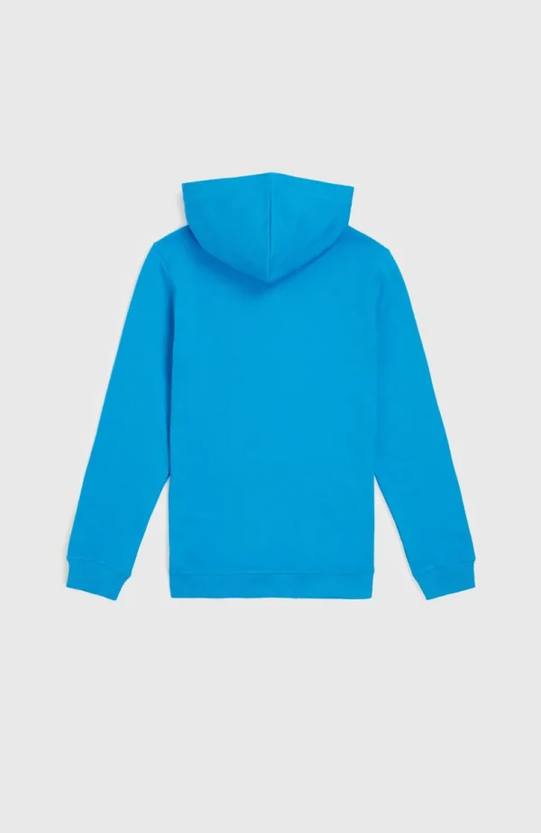 Logo Hoodie | | O’Neill Sale