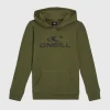 Logo Hoodie | | O’Neill Fashion