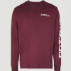 Longsleeve Cedar | | O’Neill Best Sale