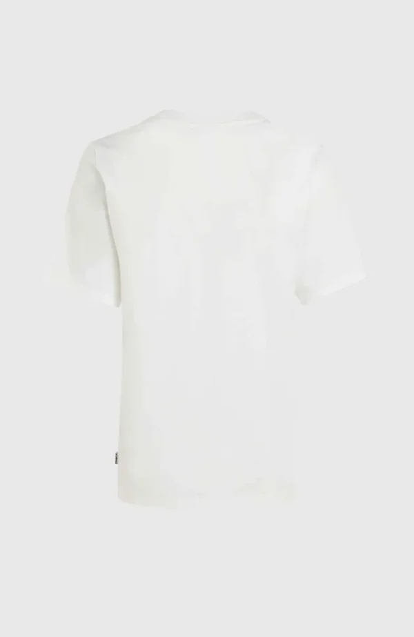 Luano Graphic T-shirt | | O’Neill Outlet