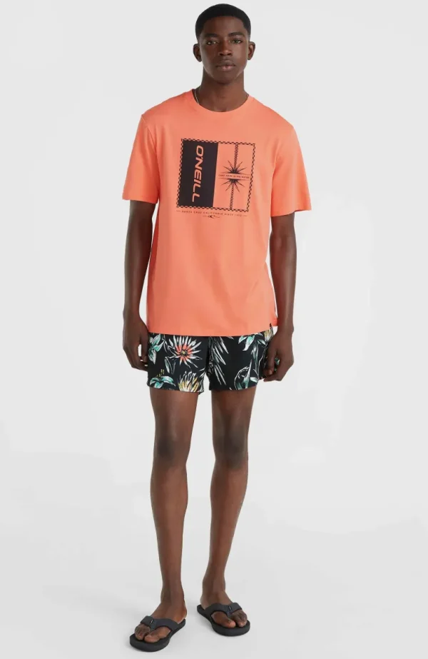 Mix And Match Cali Print 15'' Zwembroek | | O’Neill Shop