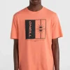 Mix And Match Palm T-shirt | | O’Neill Fashion