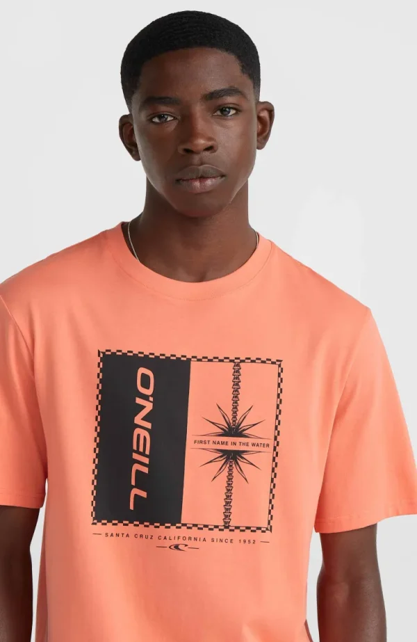 Mix And Match Palm T-shirt | | O’Neill Fashion