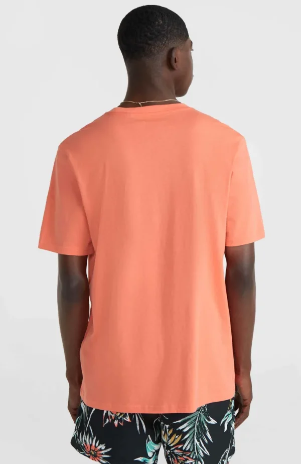 Mix And Match Palm T-shirt | | O’Neill Fashion