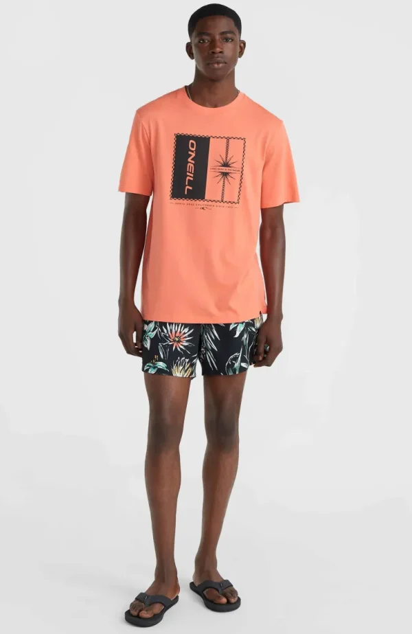 Mix And Match Palm T-shirt | | O’Neill Fashion