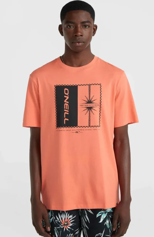 Mix And Match Palm T-shirt | | O’Neill Fashion