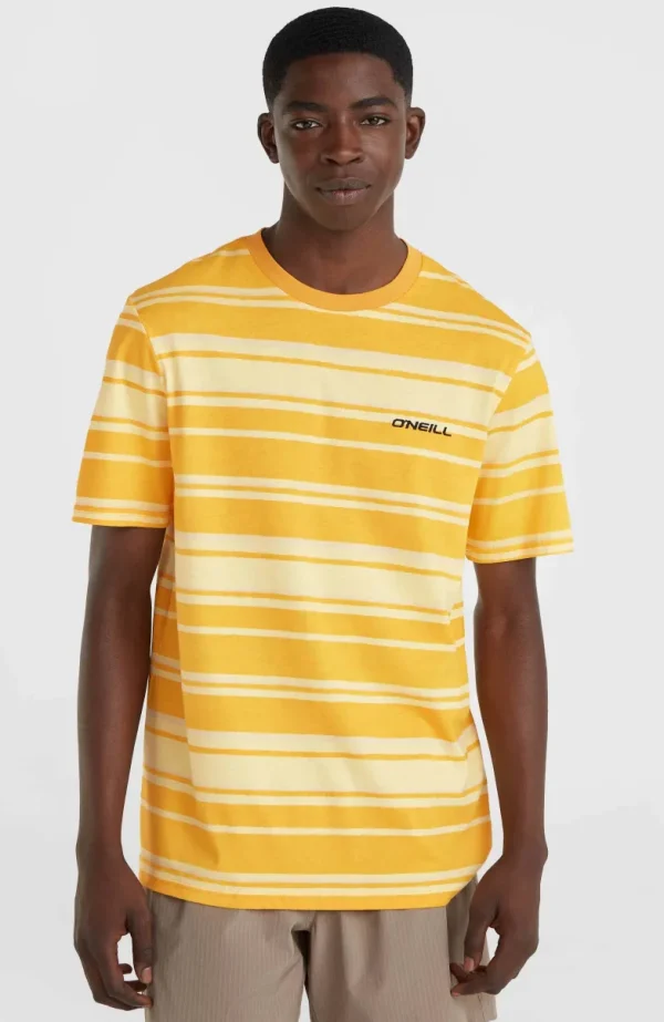 Mix And Match Stripe T-shirt | | O’Neill Cheap