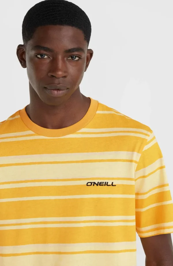 Mix And Match Stripe T-shirt | | O’Neill Cheap