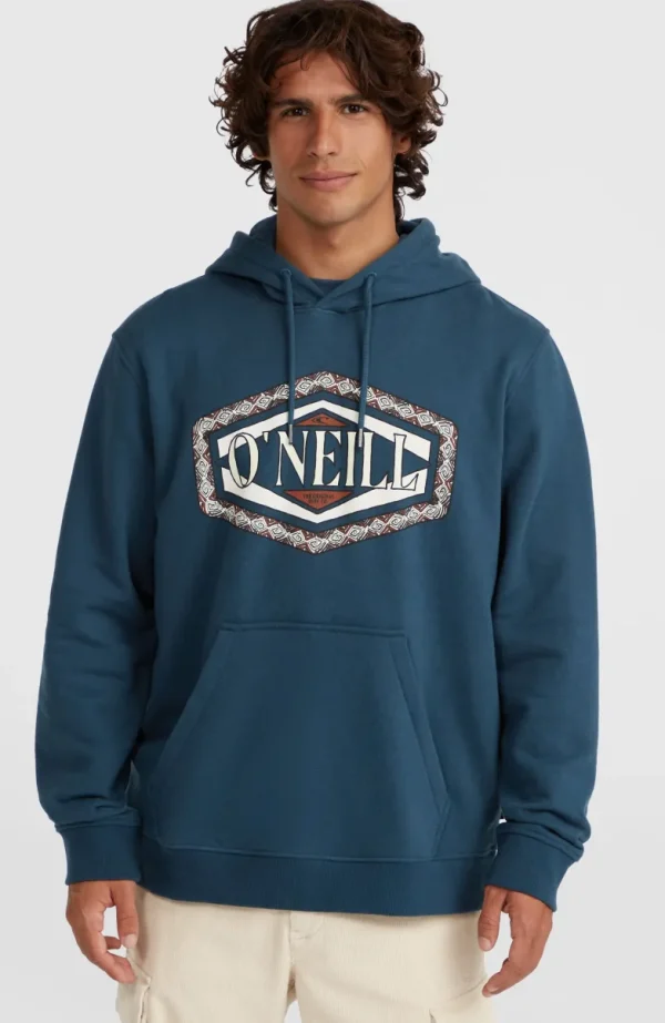 O'Neill Front Print Hoodie | | O’Neill Sale