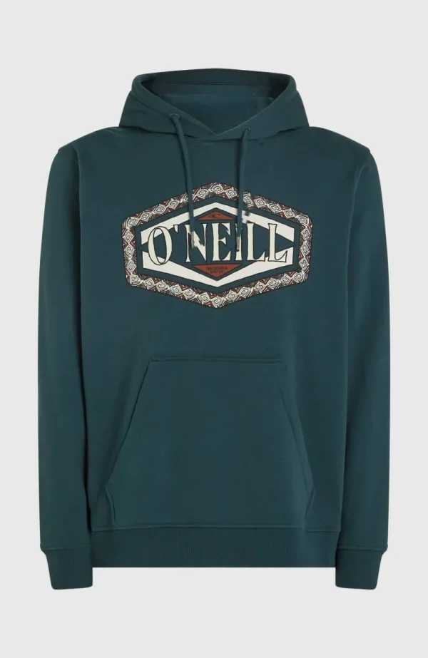 O'Neill Front Print Hoodie | | O’Neill Sale