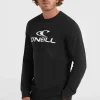 O'Neill Logo Crew Sweater | | O’Neill Fashion