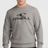 O'Neill Logo Crew Sweater | | O’Neill Hot