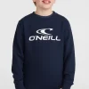 O'Neill Logo Crew Sweater | | O’Neill Discount