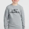 O'Neill Logo Crew Sweater | | O’Neill Fashion