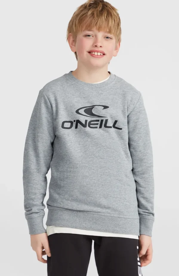 O'Neill Logo Crew Sweater | | O’Neill Fashion