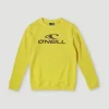 O'Neill Logo Crew Sweater | | O’Neill Discount