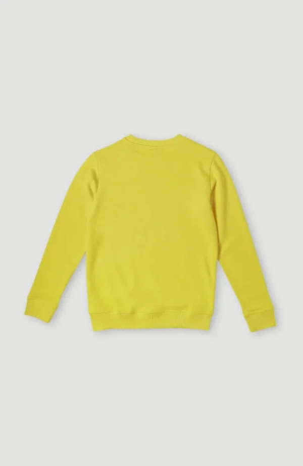 O'Neill Logo Crew Sweater | | O’Neill Discount