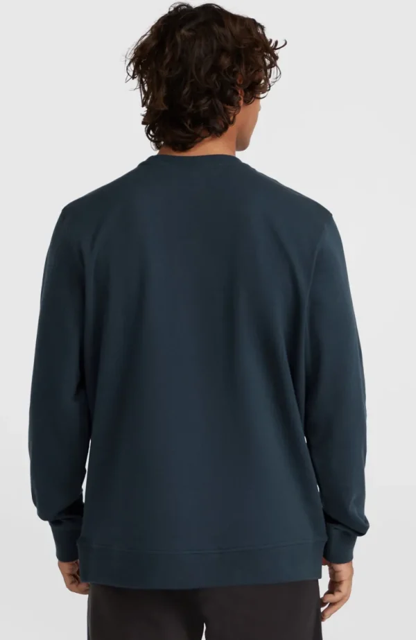O'Neill Logo Crew Sweater | | O’Neill Cheap