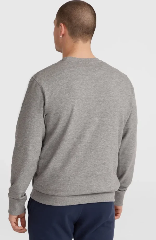 O'Neill Logo Crew Sweater | | O’Neill Hot