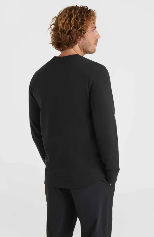 O'Neill Logo Crew Sweater | | O’Neill Fashion