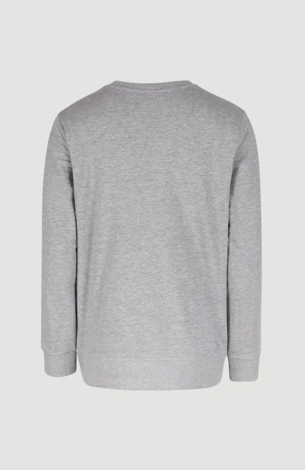 O'Neill Logo Crew Sweater | | O’Neill Hot
