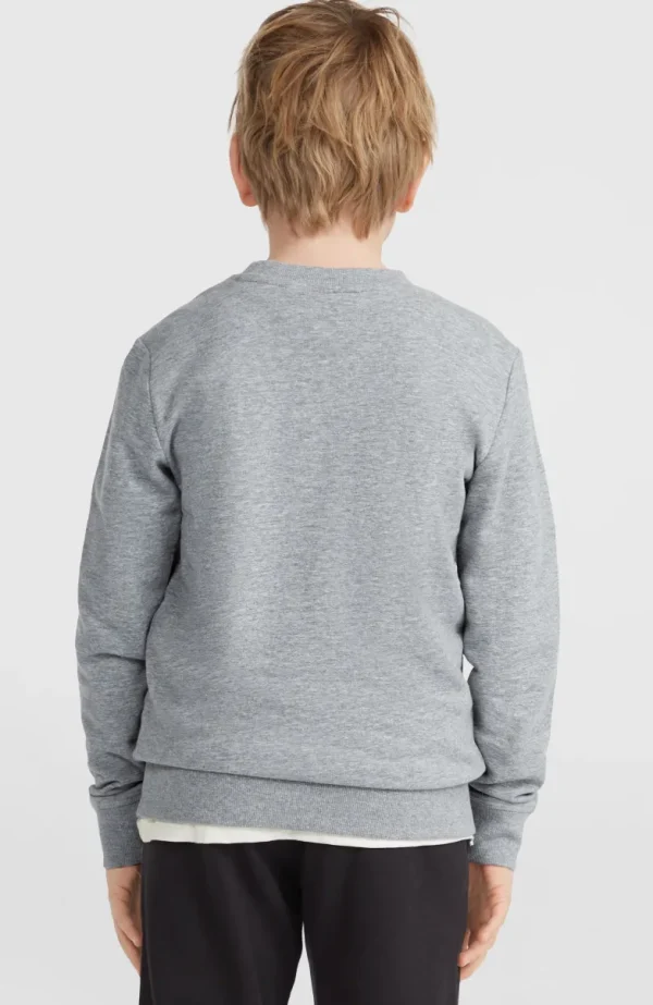 O'Neill Logo Crew Sweater | | O’Neill Fashion