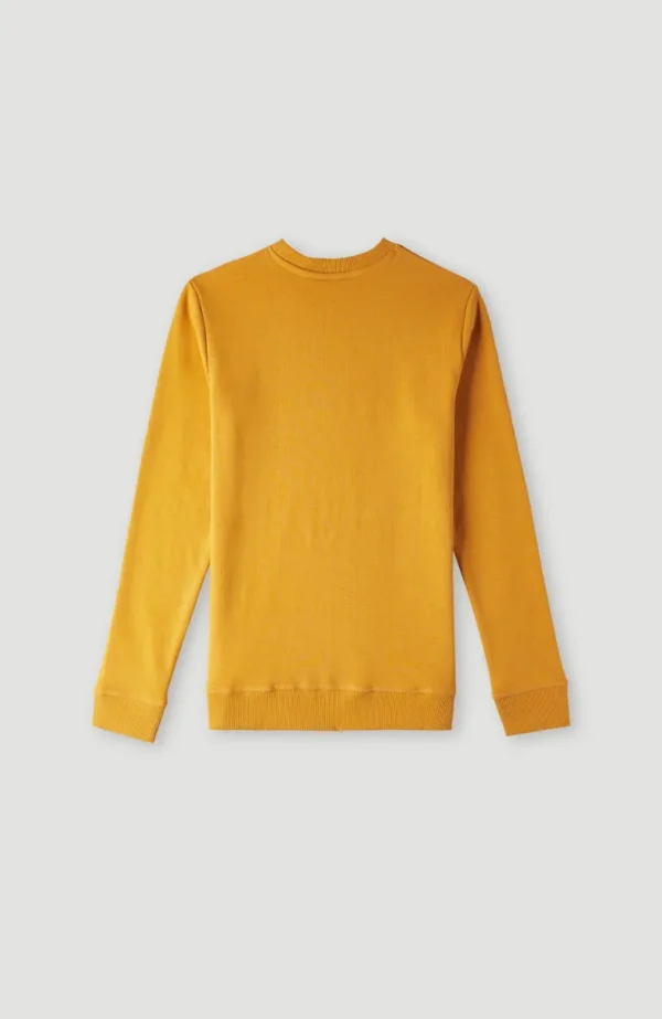 O'Neill Logo Crew Sweater | | O’Neill Store