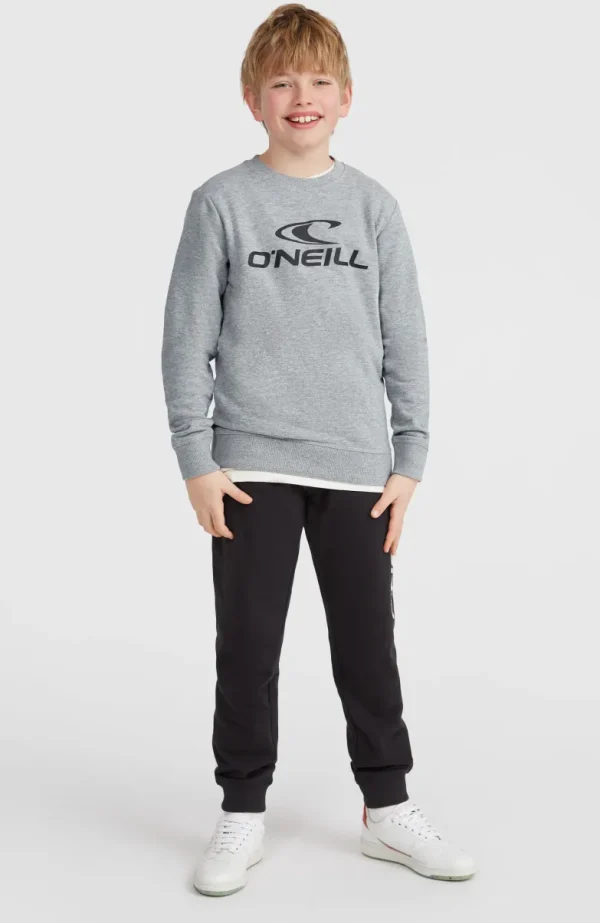 O'Neill Logo Crew Sweater | | O’Neill Fashion