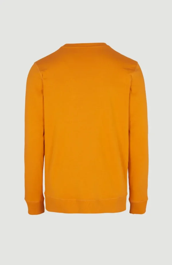 O'Neill Logo Crew Sweater | | O’Neill New