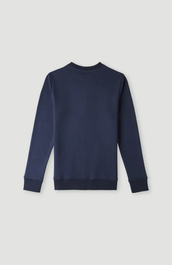 O'Neill Logo Crew Sweater | | O’Neill Discount