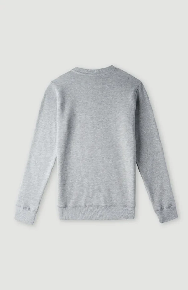 O'Neill Logo Crew Sweater | | O’Neill Fashion
