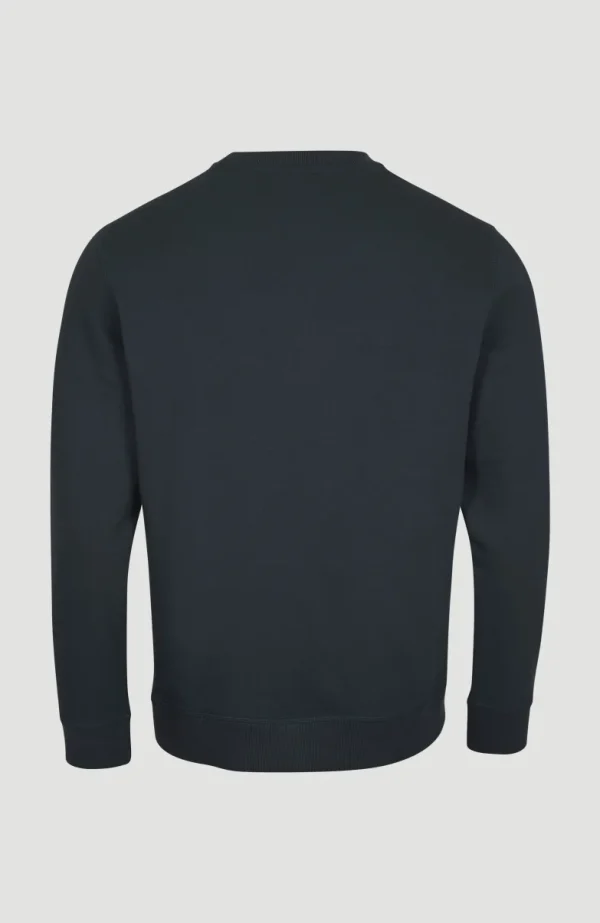 O'Neill Logo Crew Sweater | | O’Neill Cheap