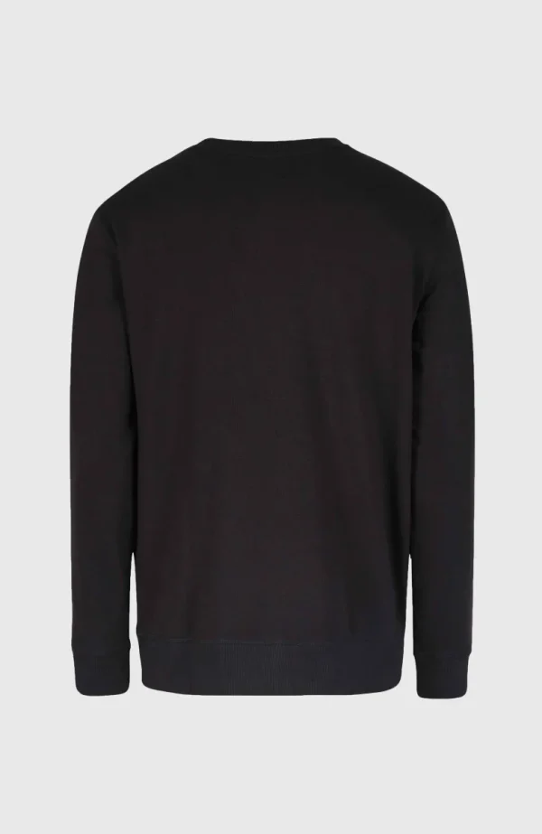 O'Neill Logo Crew Sweater | | O’Neill Fashion