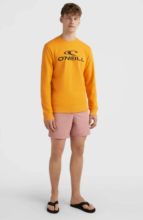 O'Neill Logo Crew Sweater | | O’Neill New